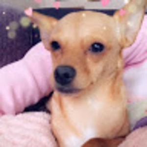 Meet your Posher, Arianna